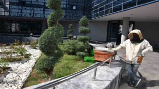 Belediyenin bahçesine konan oğul paniğe yol açtı