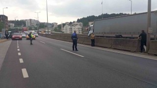 Beton bariyerlere sıkışan kedi için trafiği durdurdular: Helal olsun size