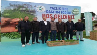 Beykozlu 11 üreticiye 25 bin fide dağıtıldı