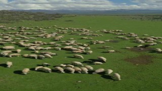 Bingölde bahar manzaraları dron ile görüntülendi