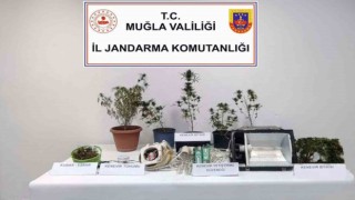 Bodrum, Milas ve Seydikemerde uyuşturucu operasyonu