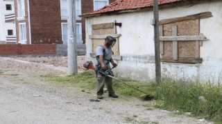 Burhaniyede tırpan ve temizlik çalışmaları sürüyor