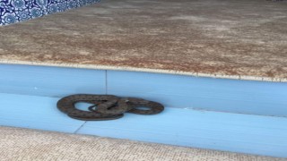 Camiye giren yılan tedirgin etti