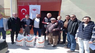 Çavdarhisarda 356 çiftçiye 24 ton nohut tohumu desteği