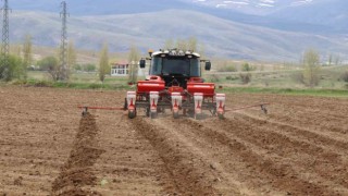 Çayırlıda ayçiçeği ekimi başladı