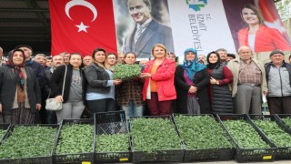 Çiftçinin fidesi İzmit Belediyesinden