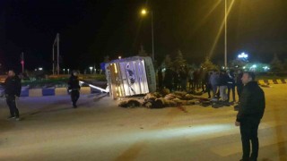Cip ile kamyonet çarpıştı: 25 hayvan telef oldu