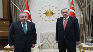 Cumhurbaşkanı Erdoğan, TBMM Başkanı Şentopu kabul etti