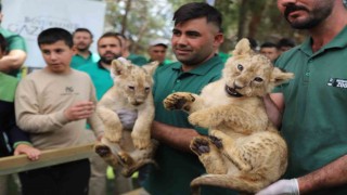 Cumhurbaşkanı Erdoğana dördüz sürprizi