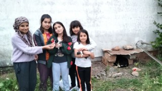 Çuvalda buldukları 9 yavru köpeğe sahip çıktılar, annelerine de kavuşturdular