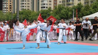 Diyarbakırda 19 Mayıs, halk oyunları ve milli sporcuların gösterileriyle kutlandı