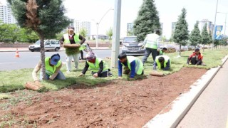 Diyarbakırda kavşak ve refüjlerde peyzaj çalışmaları devam ediyor