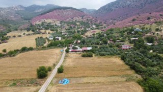Doğa açık hava fotoğraf stüdyosuna dönüştü