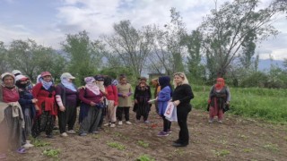 Doğada bulunurken kene popülâsyonuna dikkat!