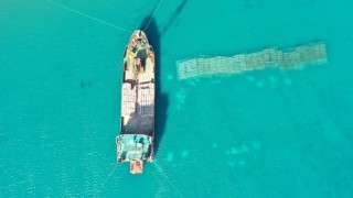 DSİ, dalgakıran çalışmalarına devam ediyor