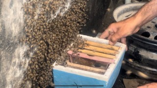 Dükkanını açtığında ilginç bir manzarayla karşılaştı
