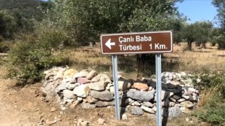 Edremitte Çanlı Baba türbesi unutuldu