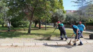 Efelerin yeşil ekipleri, bahar temizliğini sürdürüyor