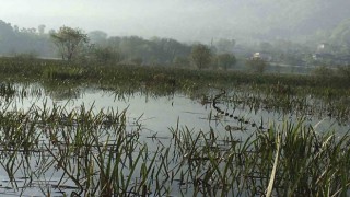 Efteni Gölünde kaçak avlanmaya geçit yok