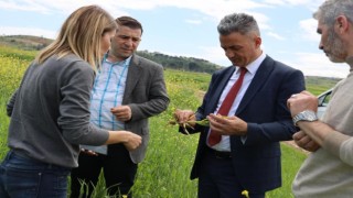 Ekim alanlarında fenolojik gözlem yapıldı