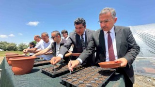 Elazığ Hipodrom Müdürlüğünün üreteceği binlerce çiçek hipodromları renklendirecek