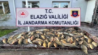 Elazığda kaçak balık avı yapan 3 şahsa, 49 bin lira ceza