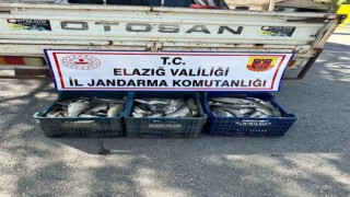 Elazığda kaçak balık avı yapan şüpheli yakalandı