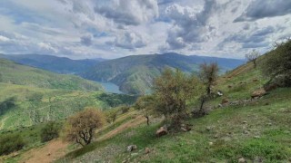 Elazığda makinalı toprak işleme çalışmaları başladı