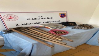 Elazığda salep sağanı toplayan 4 kişi yakalandı