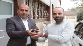 Elazığda vatandaşın bulduğu ebabil kuşu, koruma altına alındı