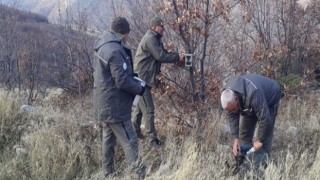 Elazığın yaban hayatı fotokapanlar ile kayıt altına alınıyor