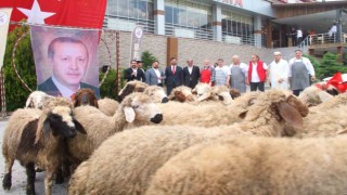 Elazığlı iş adamı, yeniden seçilen Cumhurbaşkanı Erdoğan için 20 adak kurbanı kesti