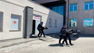 Erzincanda 2 kaçak göçmen yakalandı, 2 kişi tutuklandı