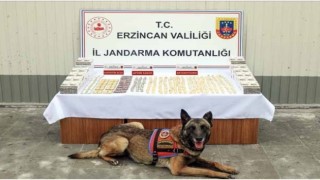 Erzincanda jandarma ekiplerince 11 faili meçhul olayın 10u aydınlatıldı