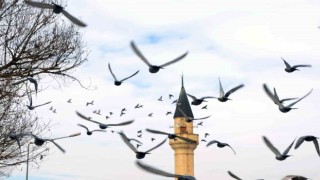 Erzurumda bin 601 cami bulunuyor