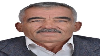 Eşekten düştü, hastanelik oldu