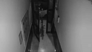 Eskişehirde 12 gün arayla bir apartmanda 2 farklı hırsızlık olayı tedirgin etti