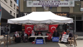 Evladı dağa kaçırılan anne: “Demirtaşı cezaevinden çıkaracaklardı. Şimdi çıkarsınlar da görelim”