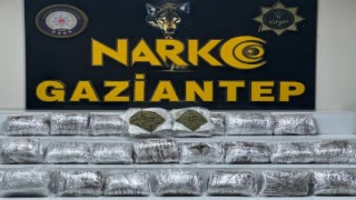 Gaziantepte 24 kilo skunk ele geçirildi