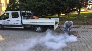 Gaziantepte haşere ile mücadele