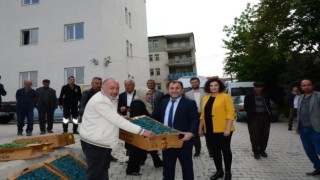 Hakkaride çiftçilere karpuz ve domates fidesi dağıtıldı
