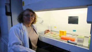 Hastalar antibiyotik kullanılmadan tedavi olabilecek
