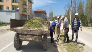Hisarcıkta yabani ot temizliği
