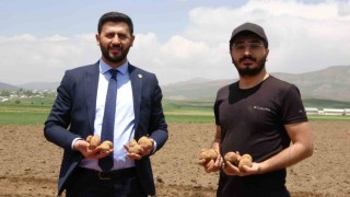 Iraktan dönen genç iş adamı, Cilo Dağı eteklerinde 100 dönümlük alana patates ekimine başladı