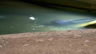 İran uyruklu çobanın cesedi su kanalında bulundu