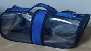Ispartada çalınan 2 köpek ve 1 kedi HAYDİ ekipleri tarafından bulundu
