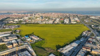 Istanbulda Kanola Tarlası manzarası görenleri mest etti