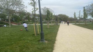 İstanbulda oy kullanan vatandaşlar piknik ve mesire alanlarına akın etti