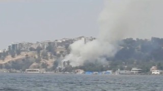 İzmirde otluk alanda yangın