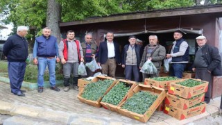 İzmit Belediyesi köylerde fide dağıtımına başladı